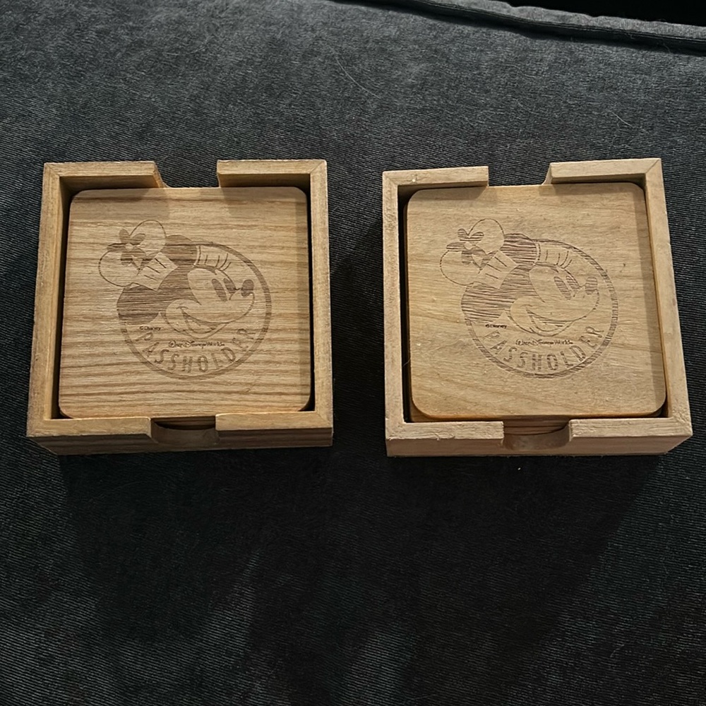 Disney World Annual Passholder Coasters